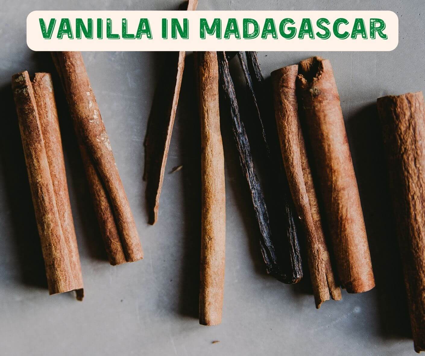 5LBS Madagascar Vanilla Beans – Gourmet Grade A Whole Beans, 100% Organic – Exp March 2026