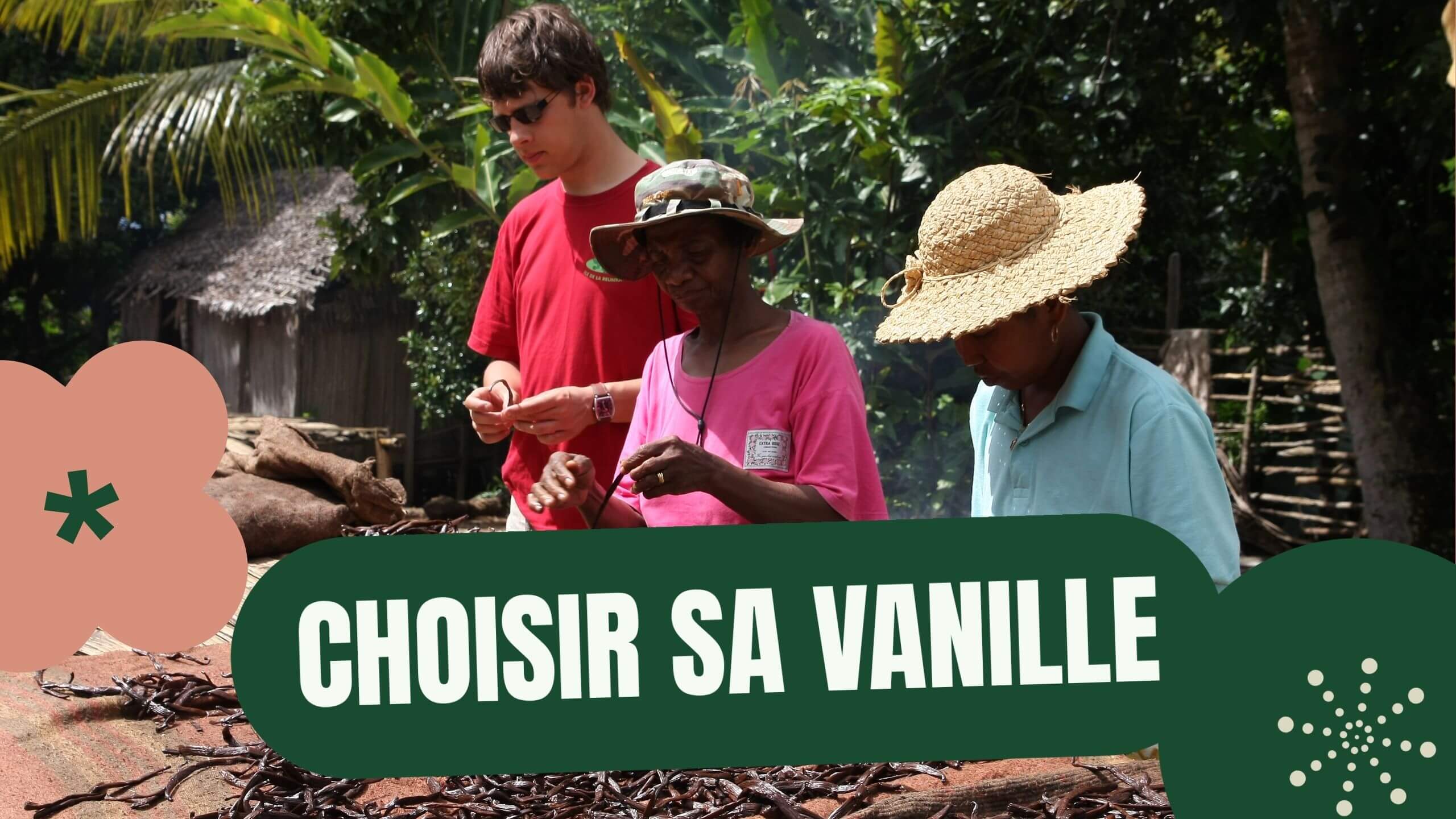 Comment Bien Choisir sa Vanille Le Guide des Meilleurs Gousses de Vanille de Qualité