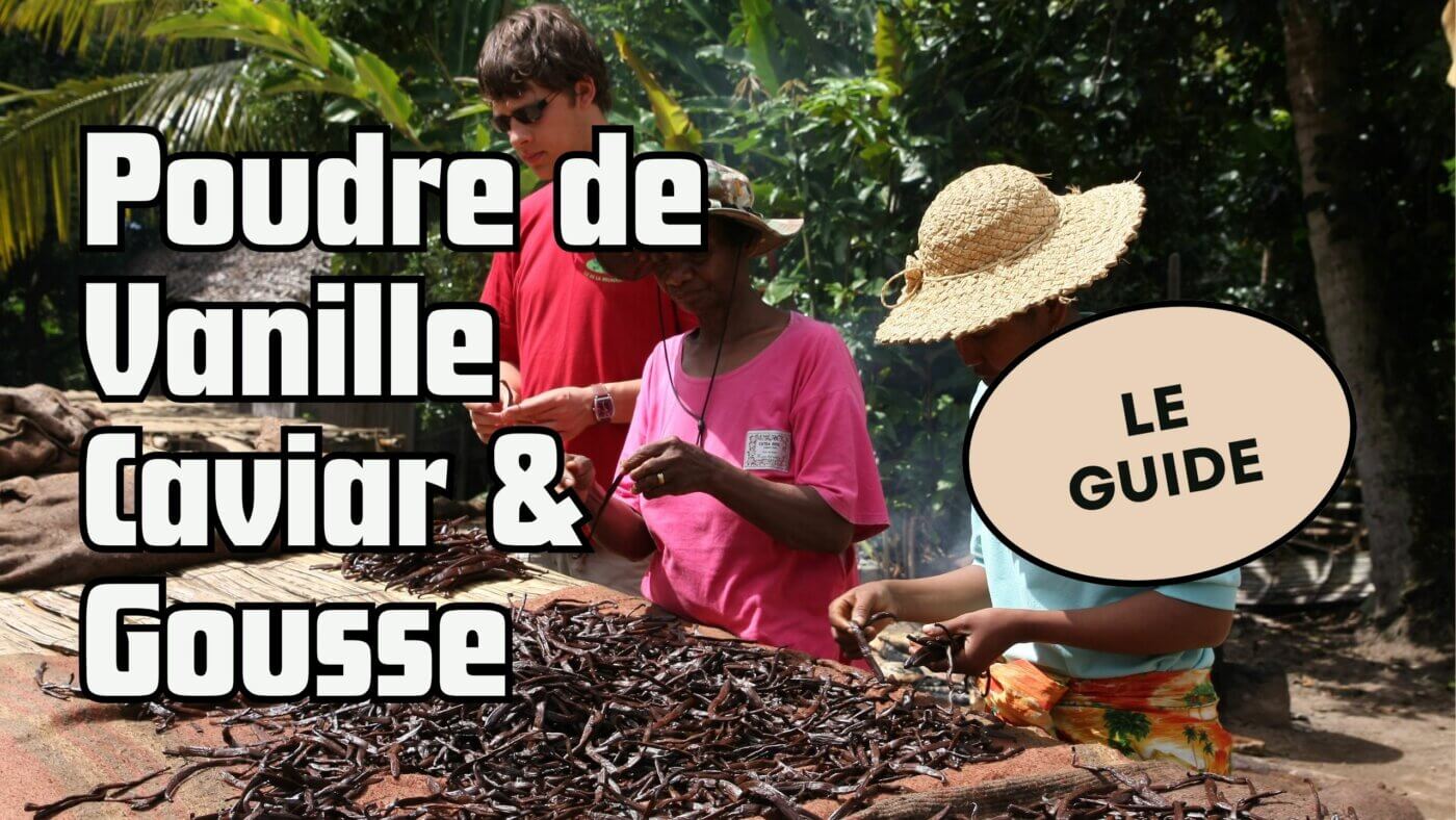 Poudre de Vanille, Caviar, ou Gousse Le Guide pour Extraire l'Arôme de votre Vanille Gourmet